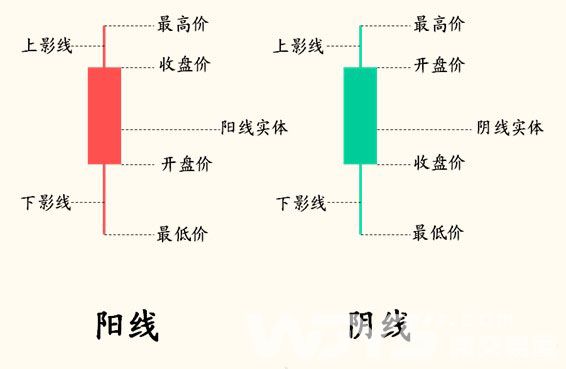 如何看微交易走势？微交易走势图怎么看？